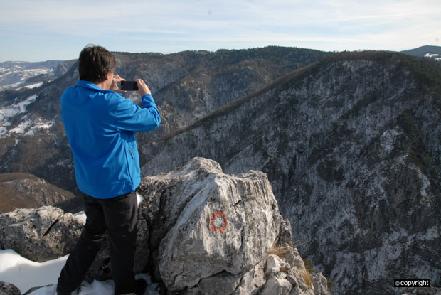 Планинска лепотица благе нарави